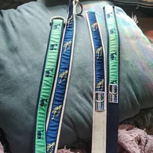 Blue and Green Dog Leash with Cream Rope